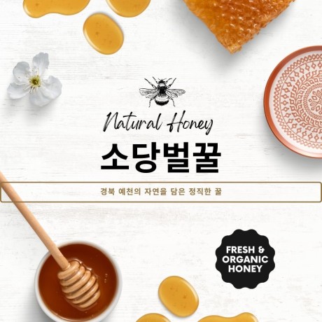 소당벌꿀(100% 자연) , 2.4kg