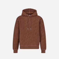 디올 오블리크 릴렉스 핏 후드 브라운